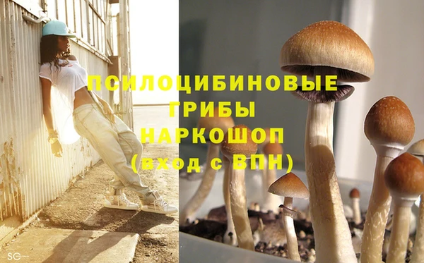 спайс Баксан